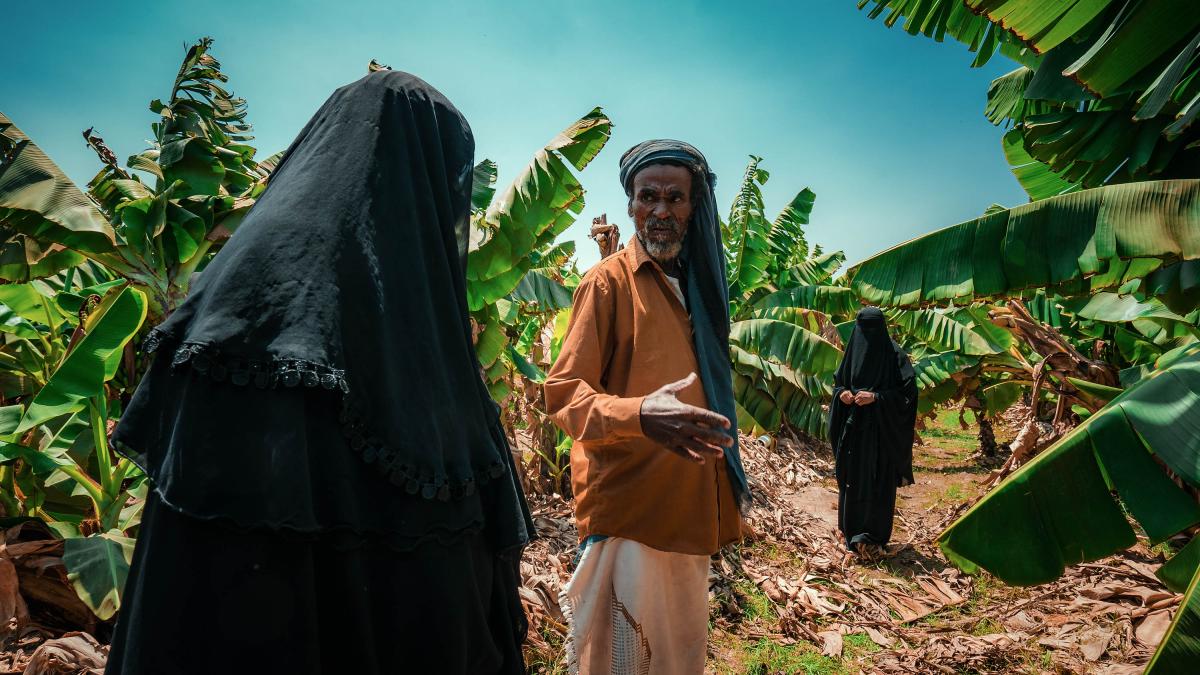 Ms. Ahmad is growing a more profitable crop—bananas—instead of watermelons and almonds. 