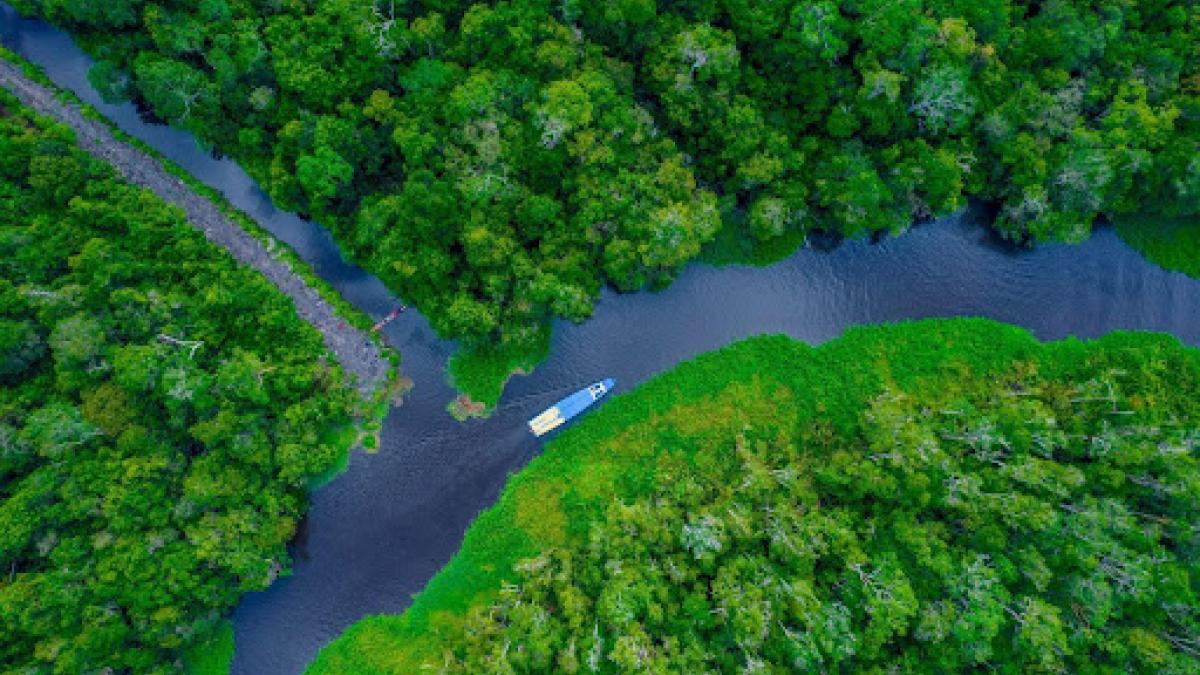 A blue boat floats along a river, cutting through lush green forests. 