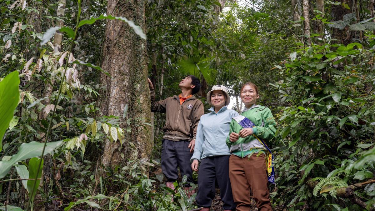 three people standing in a Vietnam forest, surrounded by tall trees and leaves. 