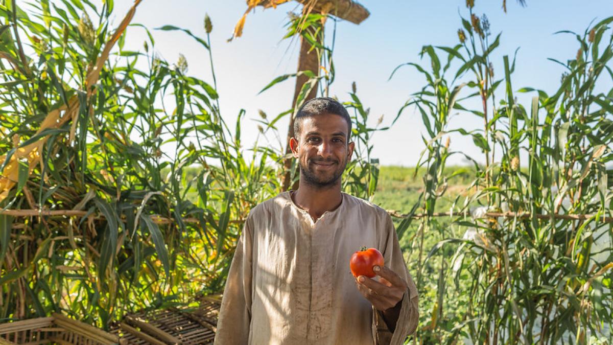 Linking Smallholder Farmers to Global Markets