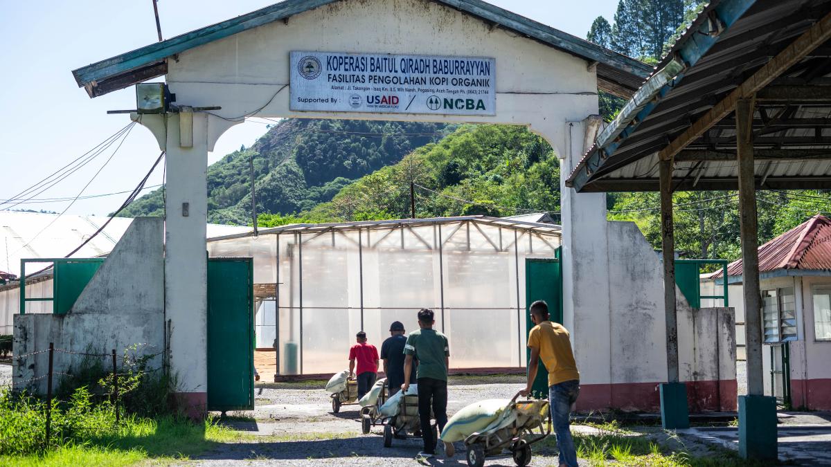 Workers bring harvested coffee cherries through the entrance to the Baburrayyan coffee cooperative.