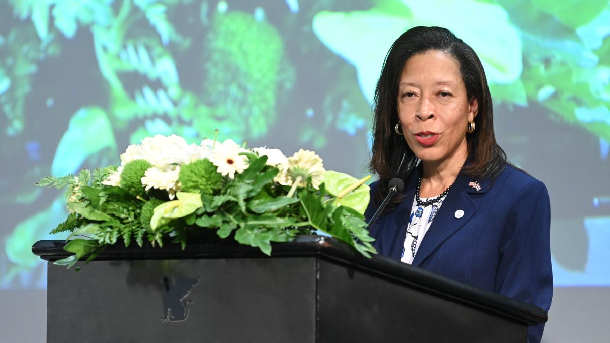 Colleen Allen delivering remarks at the USAID Asia Regional Overseas Small Business Conference 