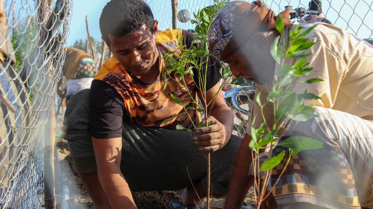 Two community members planting a tree 