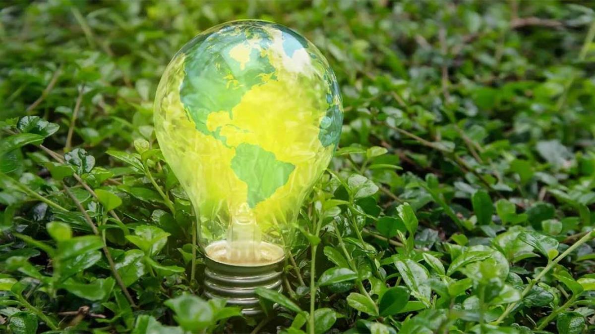 A lightbulb standing upright in green vegetation. A green and yellow map of Earth's western hemisphere is superimposed on the bulb to make it appear as a globe.