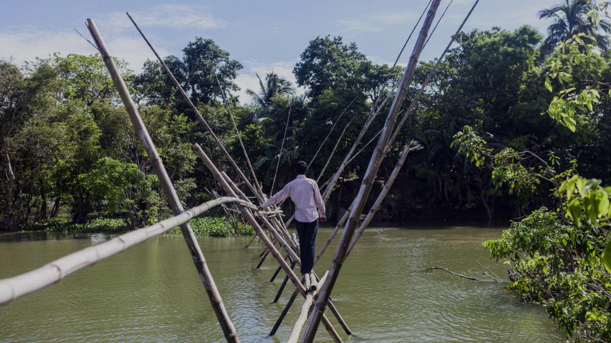 A villager walks on a narrow bamboo bridge in Baushi village in Dirai upazila, Sunamganj. 