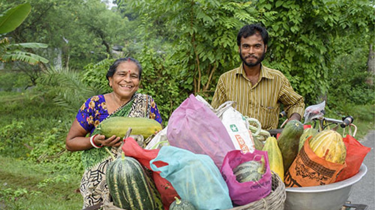 A female vegetable farmer in the Bagerhat District of Bangladesh participates in integrated rice-prawn/fish-vegetable farming with the Feed the Future Innovation Lab. Photo Credit: Mohamamd Mahfujul Haque