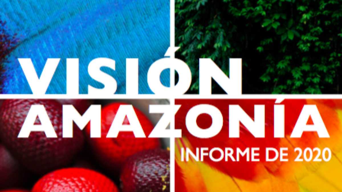 Visión Amazonía