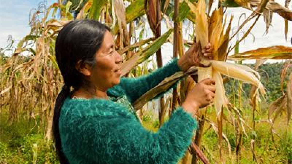 A woman farming