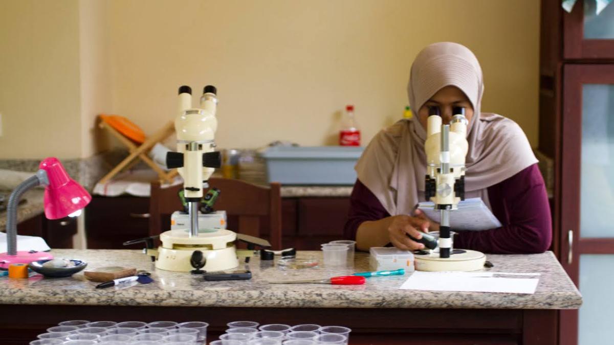 A woman looks through a microscope