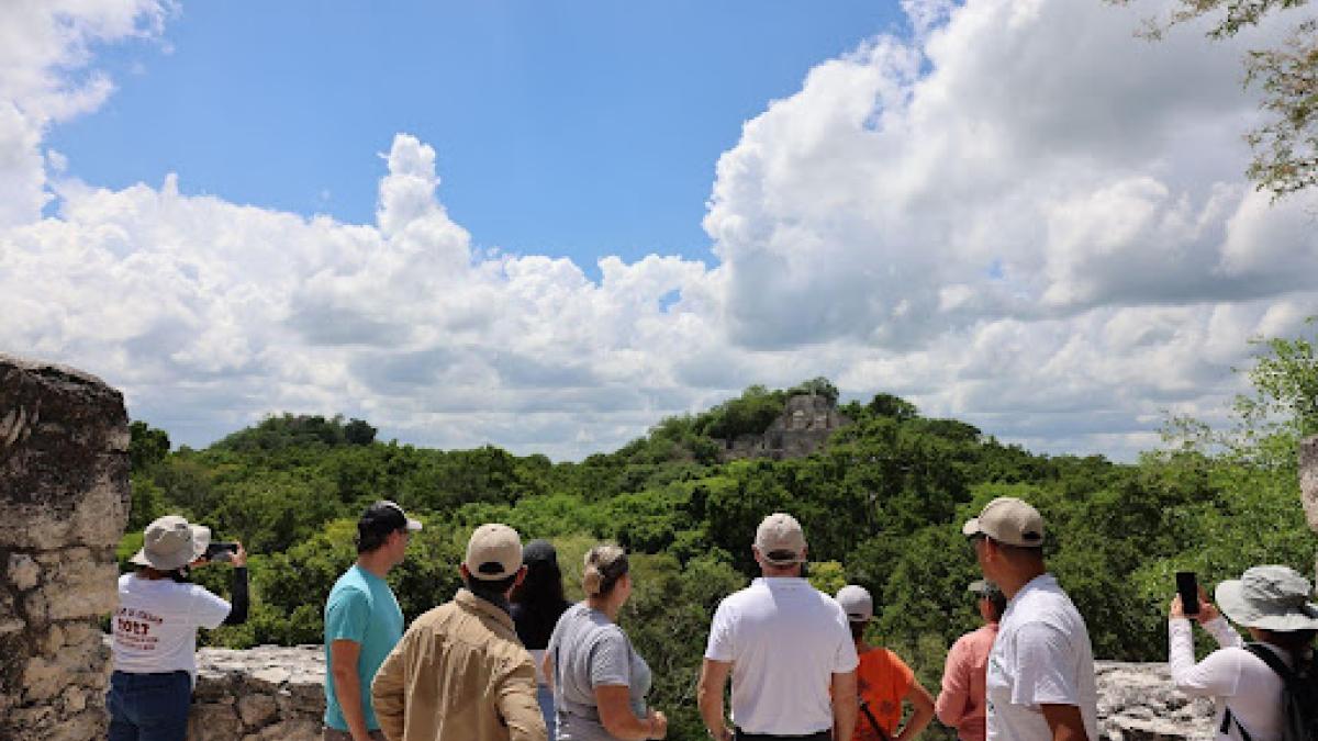 A group of men and women stand with their backs to the camera, taking photos and gazing upon a tree-covered mountain top.