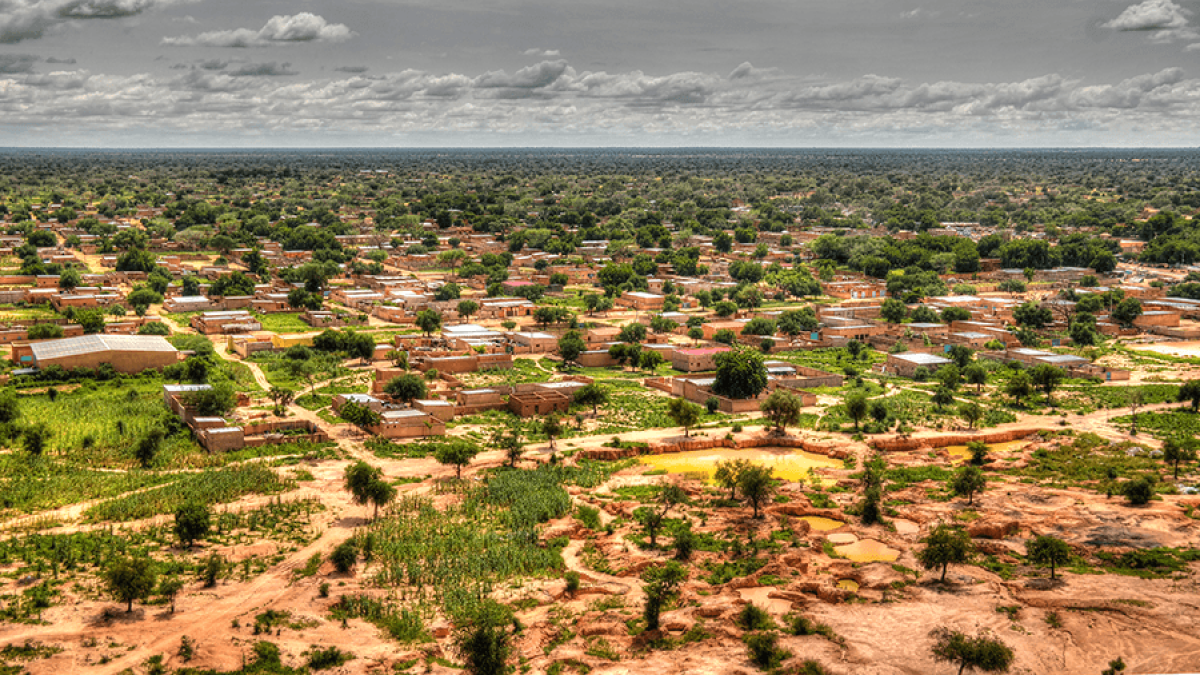 Niger landscape