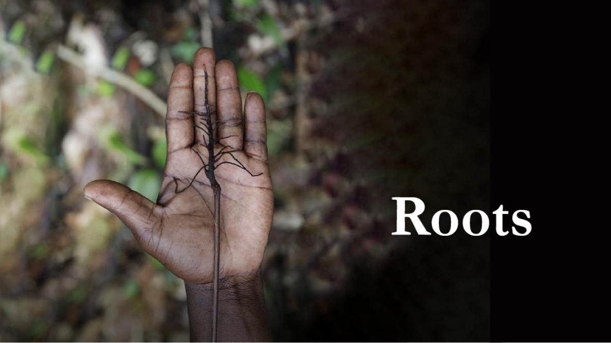 ROOTS HEADER WEB IMAGE