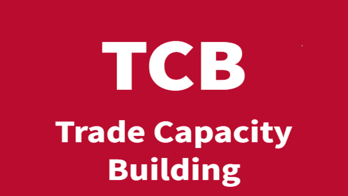 Trade Capacity Building (TCB) Database