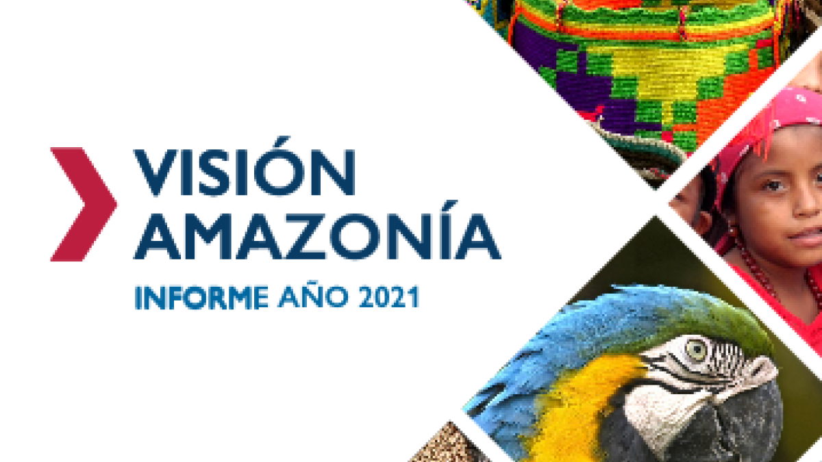 Portada de reporte Vision Amazonia 2021. Se ve un guacamayo y productos amazonicos