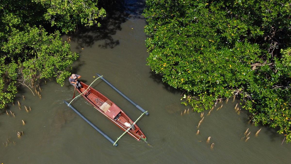 A red boat floats through a mangrove in the Philippines