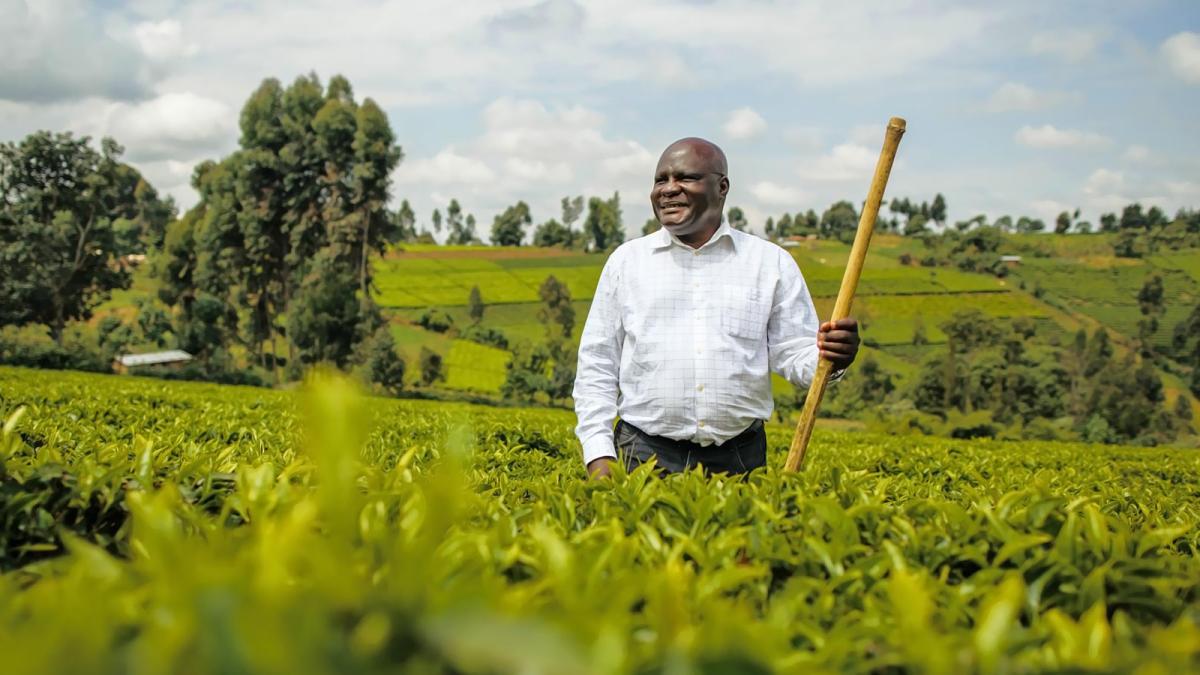 A farmer stands in his green field