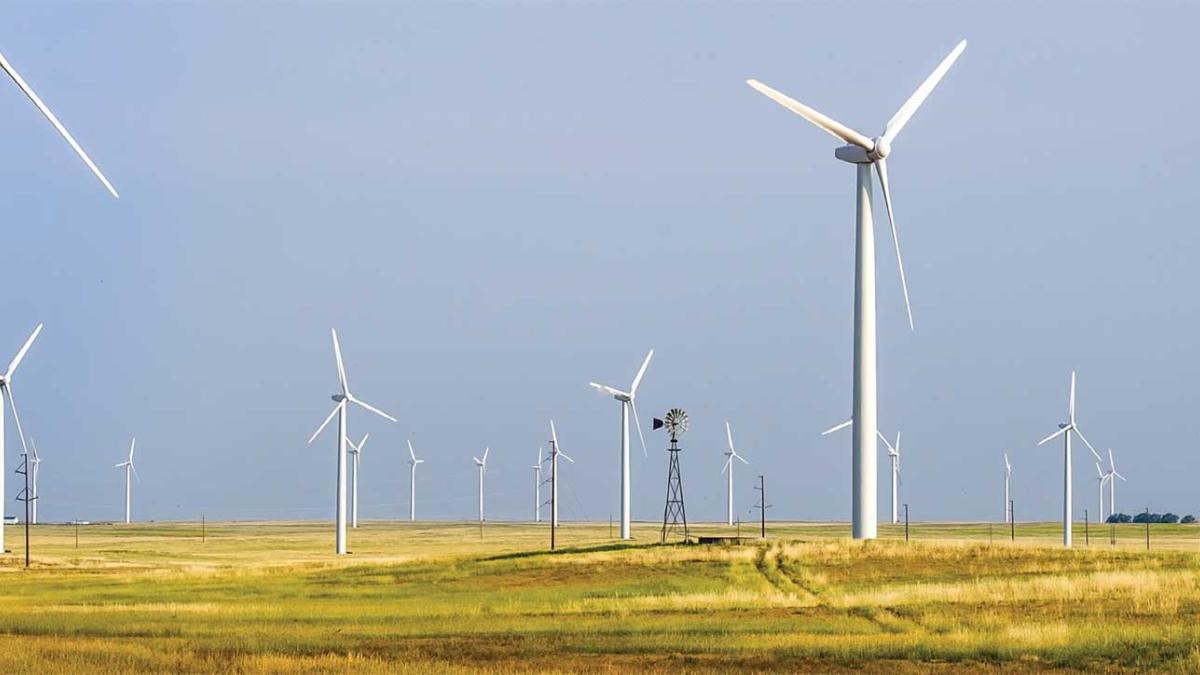 Many wind turbines on a plain covered in golden grasses.