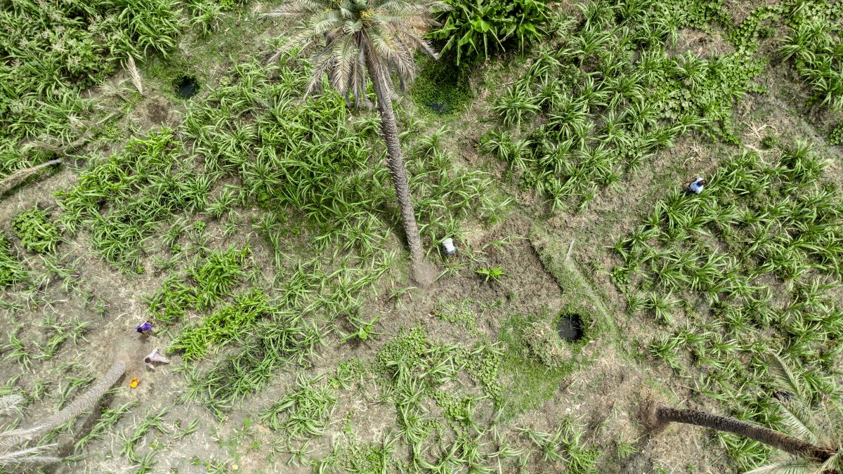 Aerial View of a Farmer in Niger