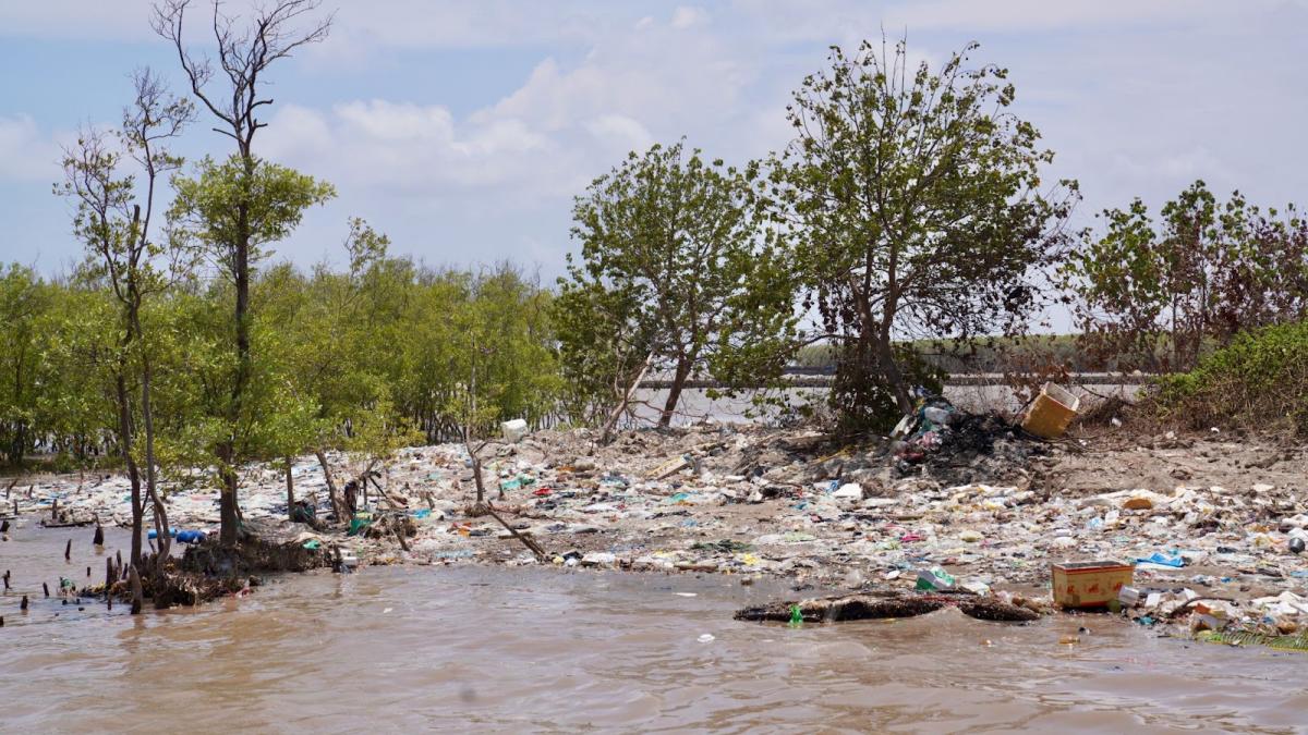 Vietnam Action Against Plastic Pollution