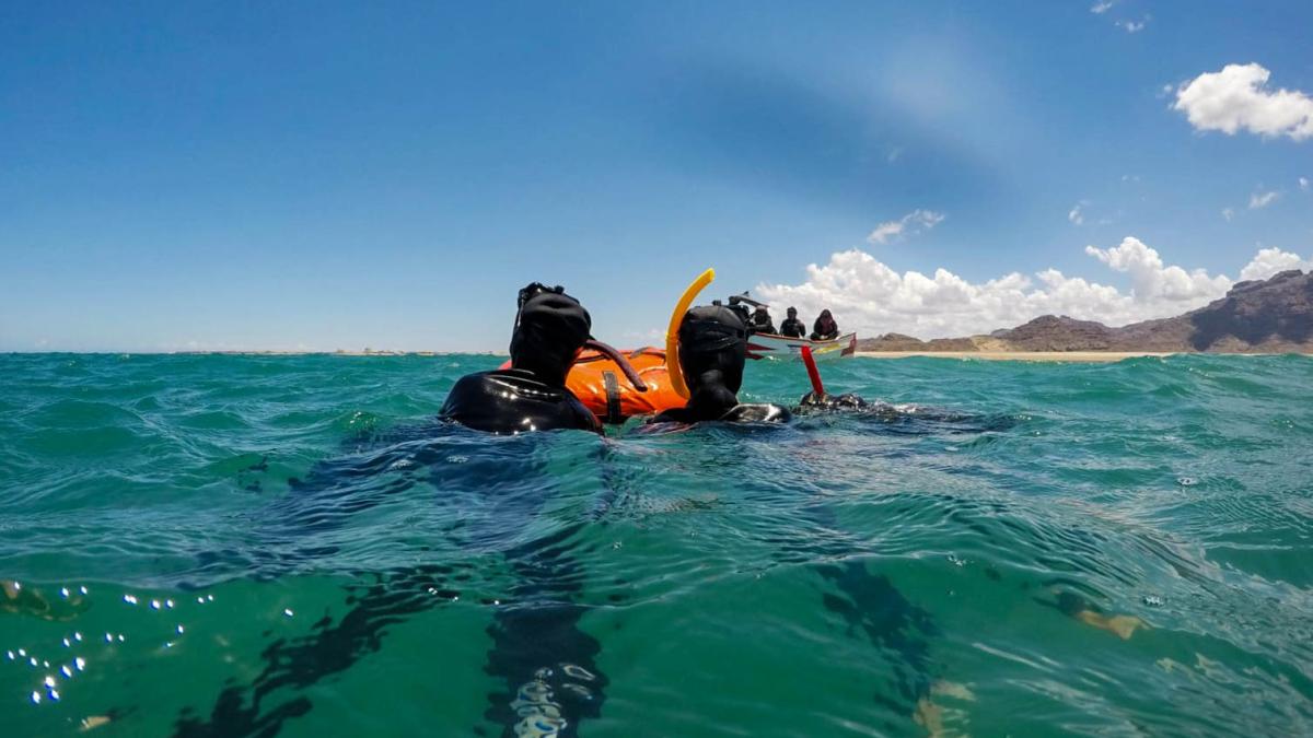 women diving in water