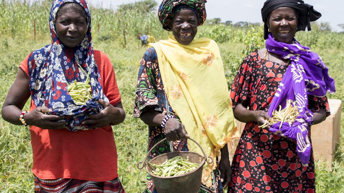 In Bandiagara, Mali, three women from the Yaam Girobolo Toumo Cooperative Society are happy to show off their cowpea harvest. Hamdia Traore /DevWorks International