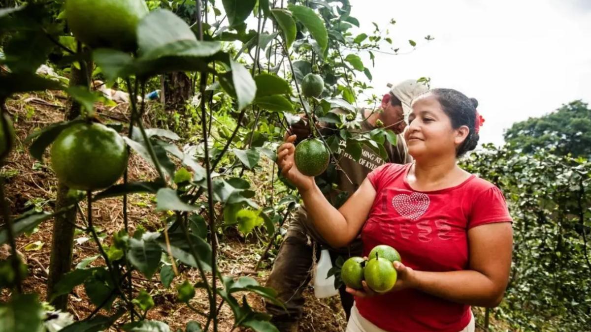 Addressing Hunger in Central America