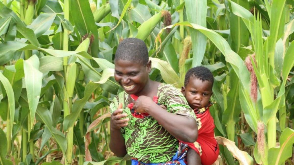 Through USAID’s Africa RISING program, farmers in Malawi, like Mercy Joseph (pictured), learn agroforestry practices to improve food security while increasing soil fertility, tree canopy, and wildlife habitat.