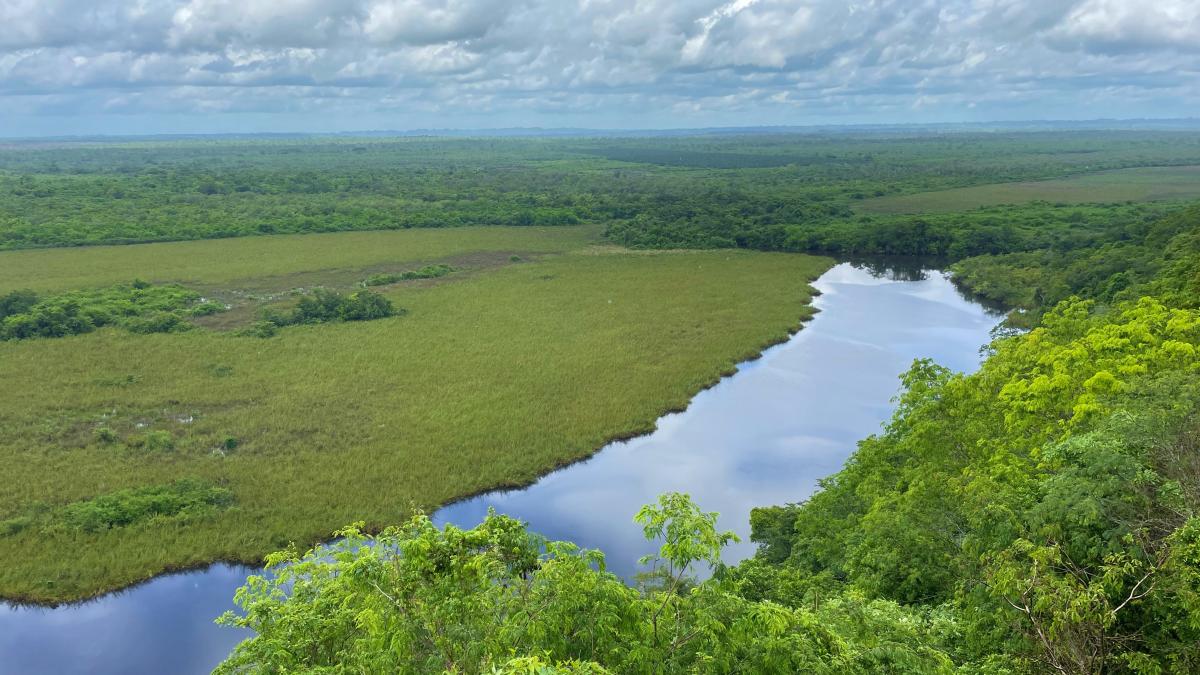 Maya Biosphere Guatemala