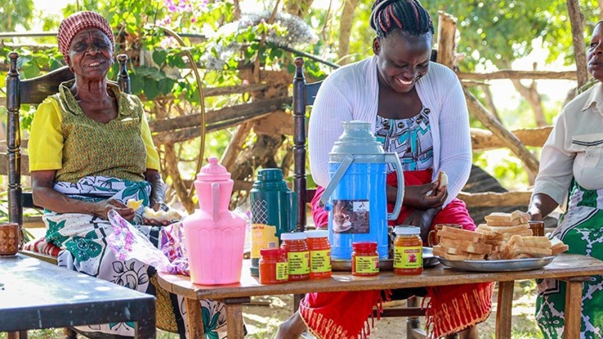 This project involved technology transfer of Honey Bee Network's Grassroots Innovations to Kenya's small scale farmers through support from USAID and Jomo Kenyatta University of Agriculture and Technology to solve food security challenges.