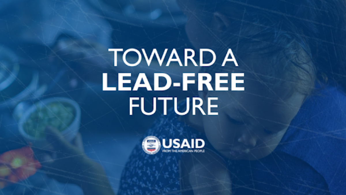 Toward a Lead Free Future