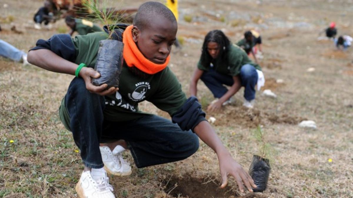 A student plants a tree in spring 2011 as part of a reforestation project with a local NGO in La Visite National Park, Haiti.