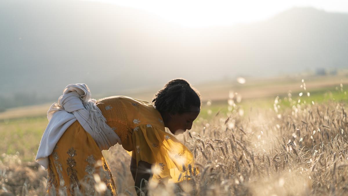 A woman works in a field.