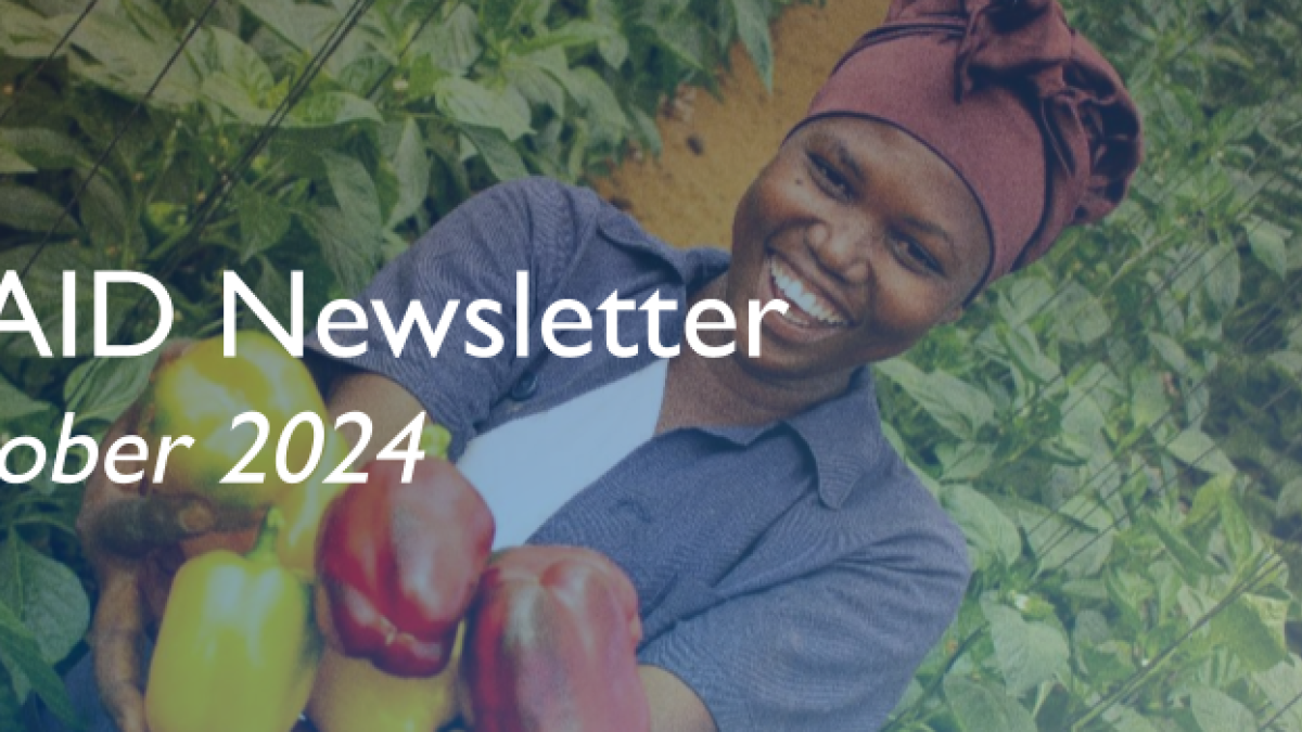 USAID Newsletter: October 2024