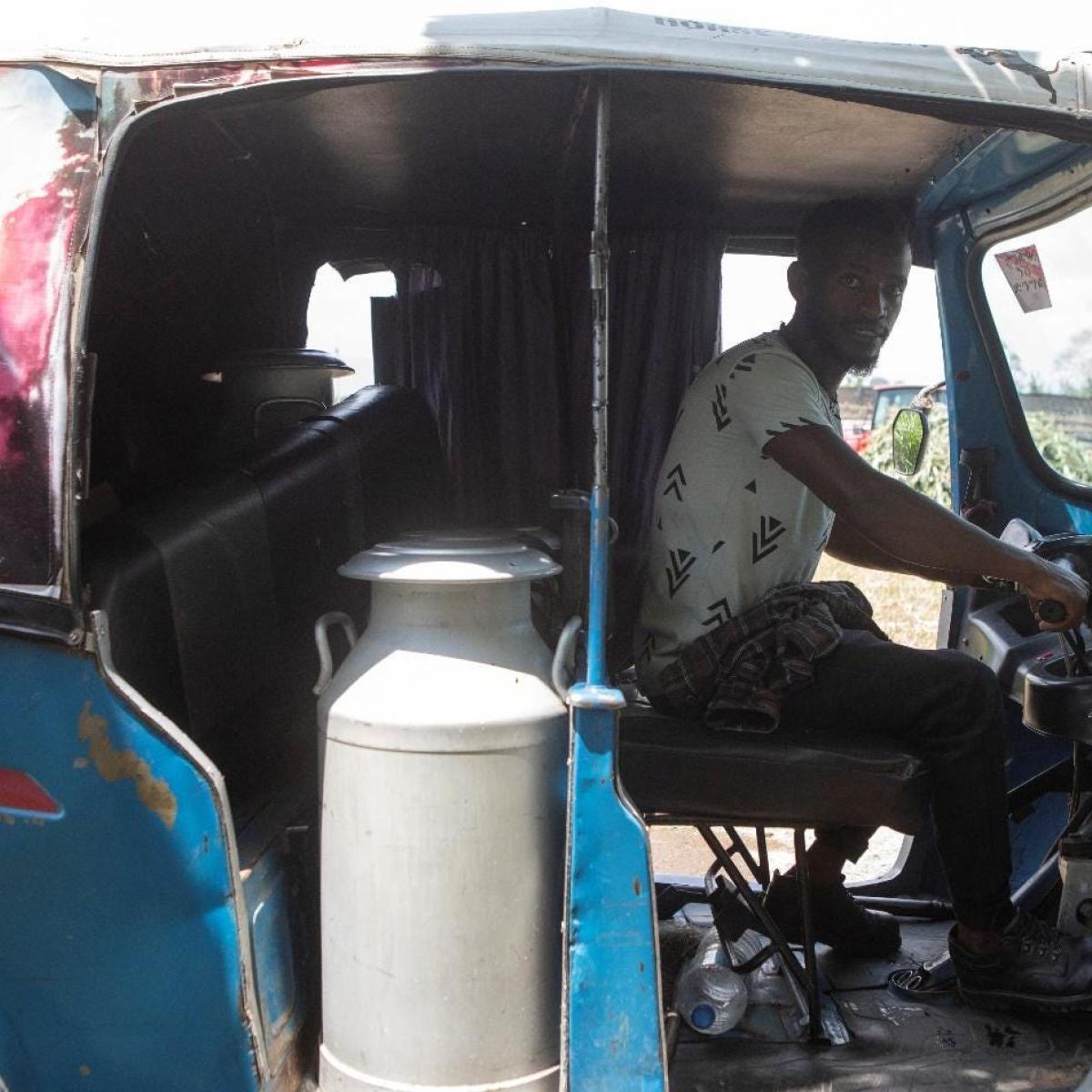 A young Ethiopian driver, one of the farm workers, sits at the wheel a ‘tuk-tuk’ — a covered three-wheeled vehicle with a motorcycle engine — ready to deliver the milk to be processed