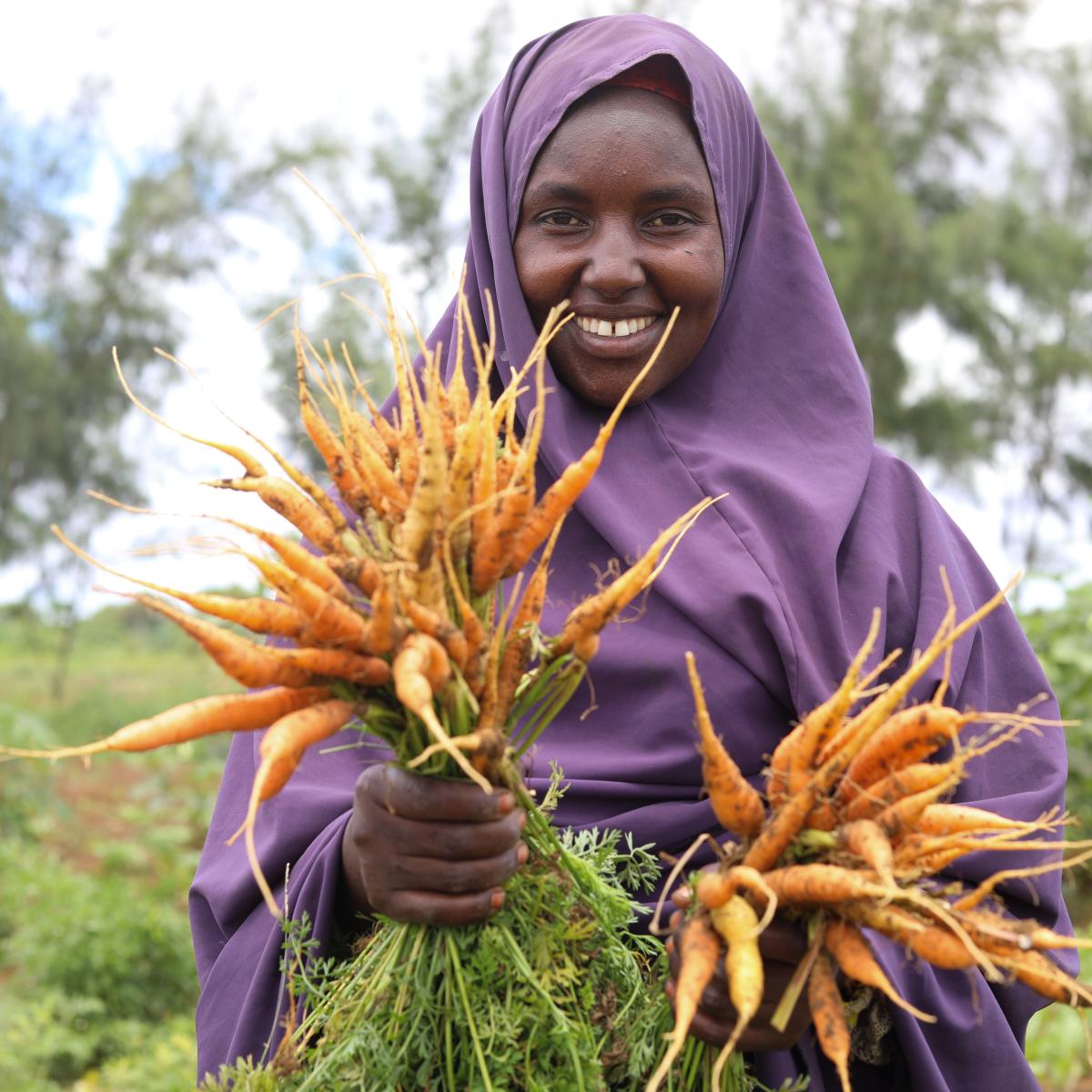 carrot somalia