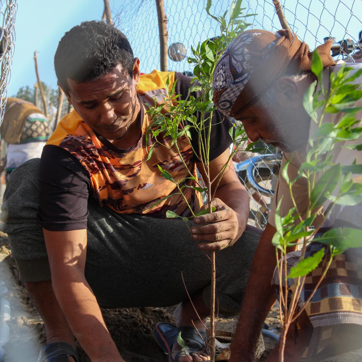 Two community members planting a tree 