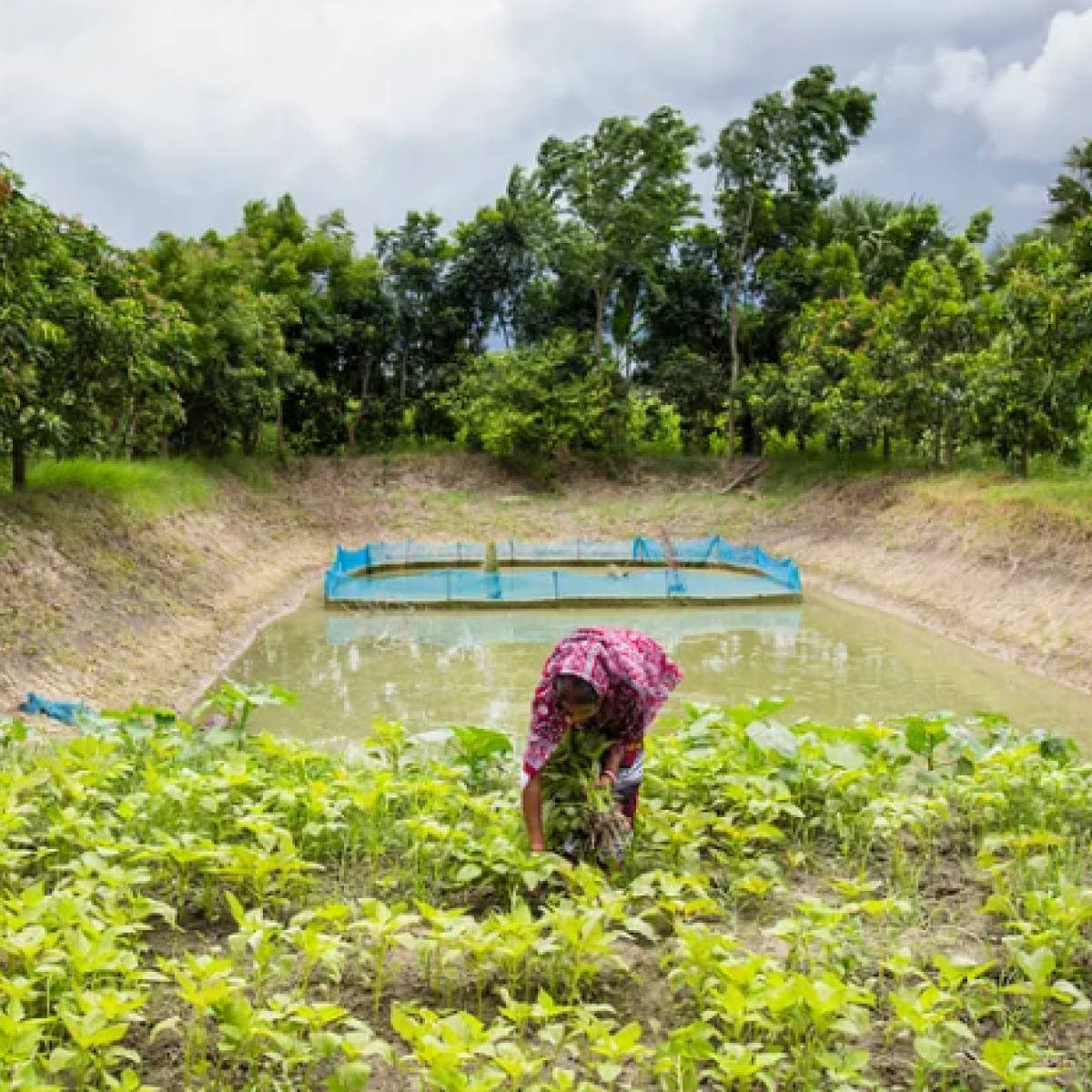 a woman tending to her crops