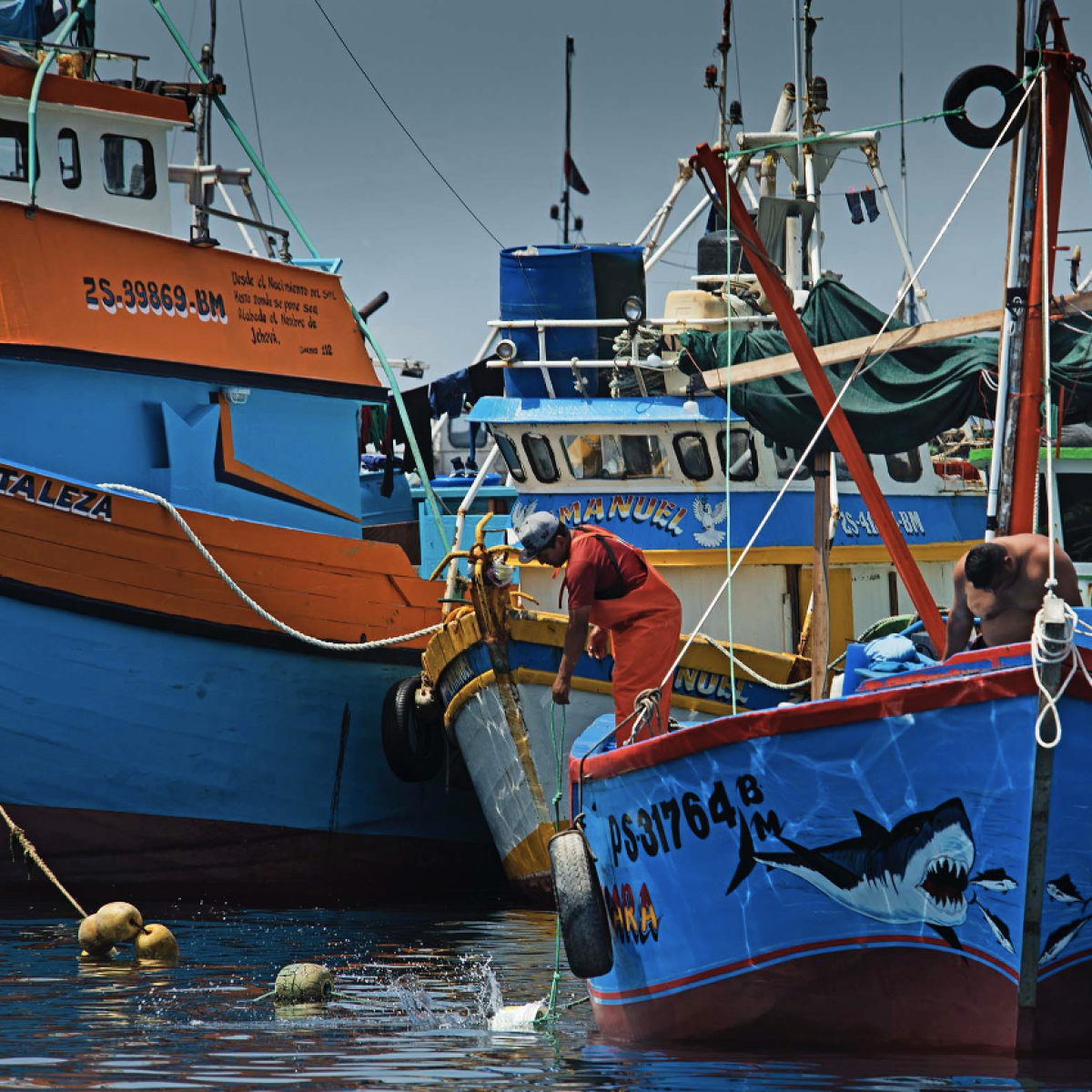 Fishing boats