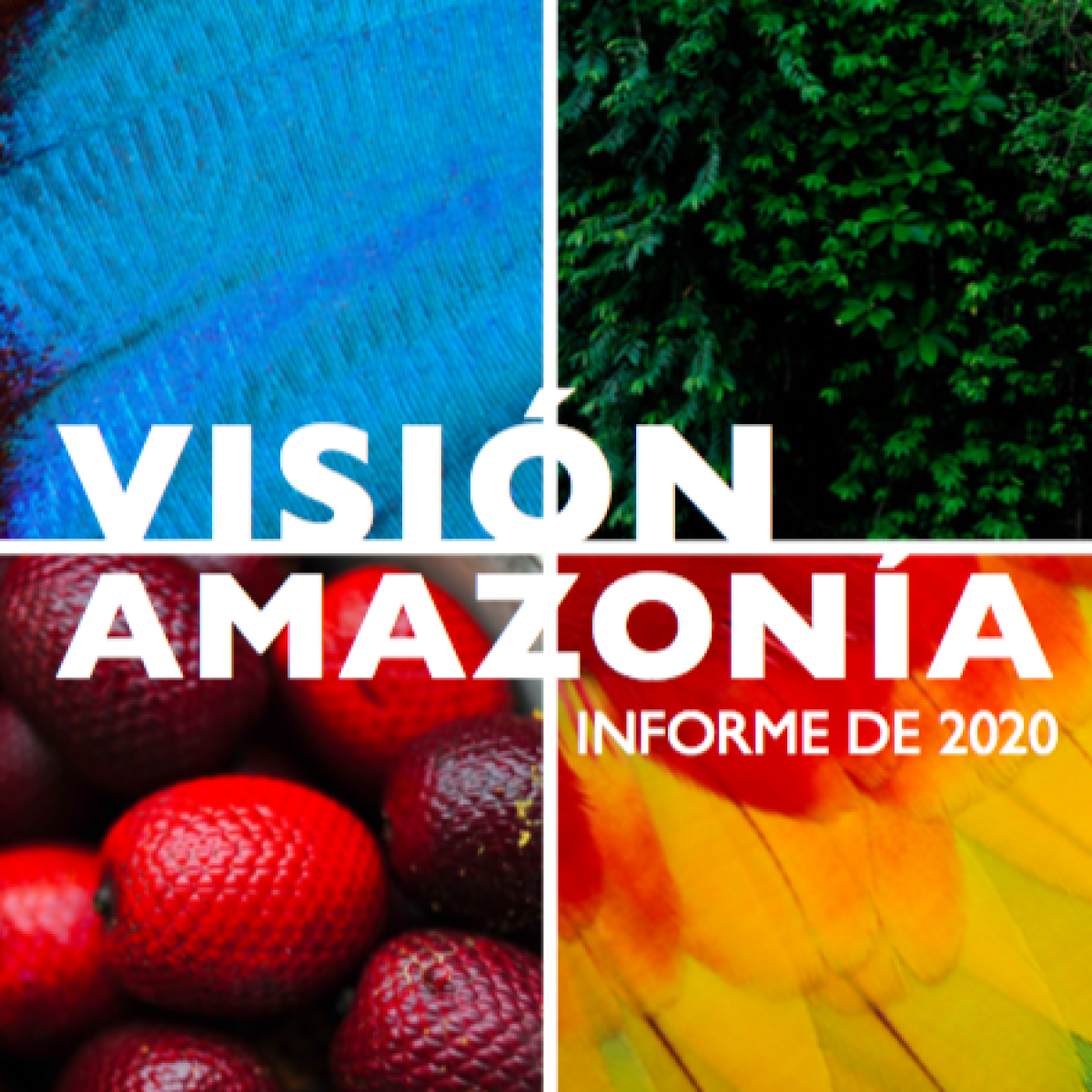 Visión Amazonía