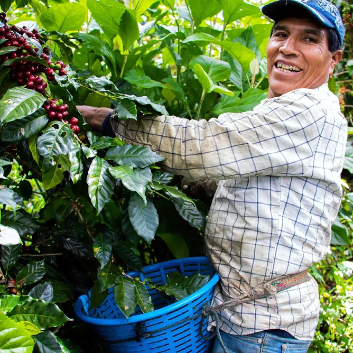 Coffee producers from the same region. 