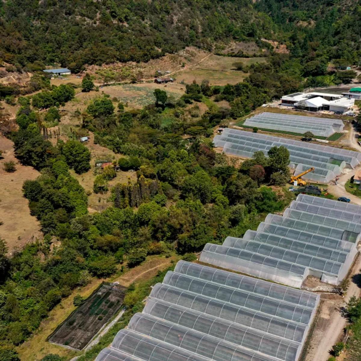 CAMPO complex from the air. 