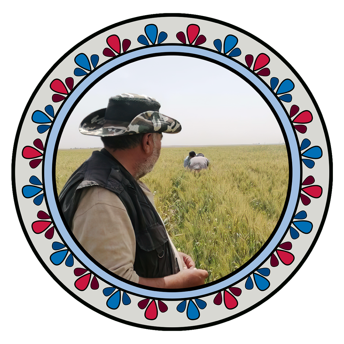 Photo of a Syrian man looking out at a wheat field.