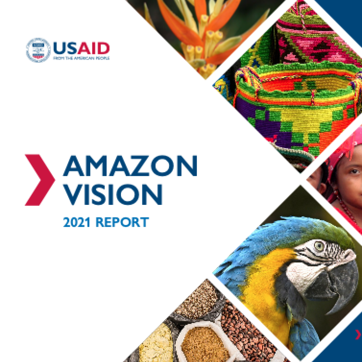 Cover for the amazon vision report. It shows a parrot and products from the Amazon