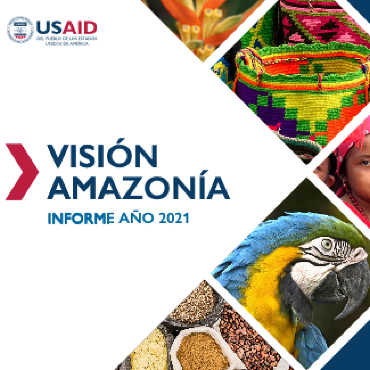 Portada de reporte Vision Amazonia 2021. Se ve un guacamayo y productos amazonicos