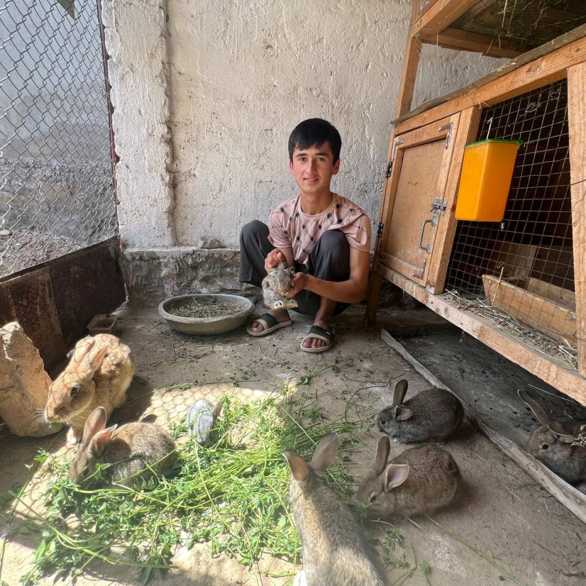 Since 2022 USAID initiated the rabbit breeding program in 12 districts of Khatlon region. 