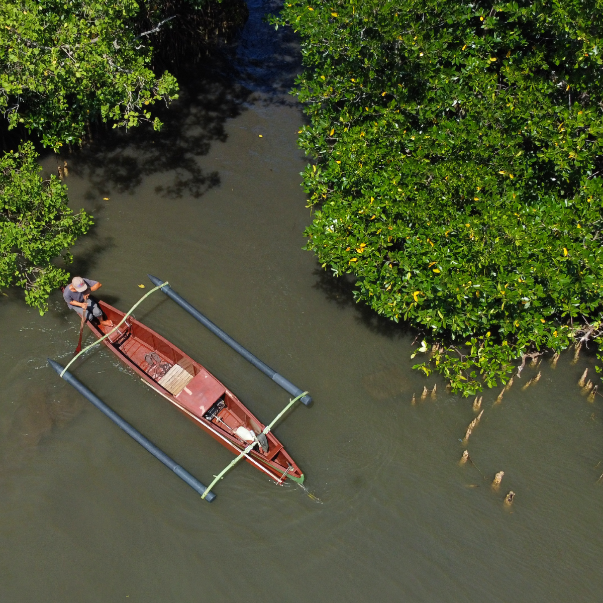 A red boat floats through a mangrove in the Philippines