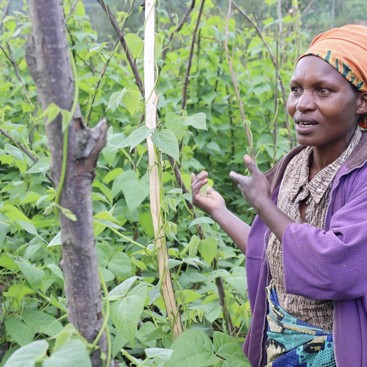 A woman standing in her garden beans