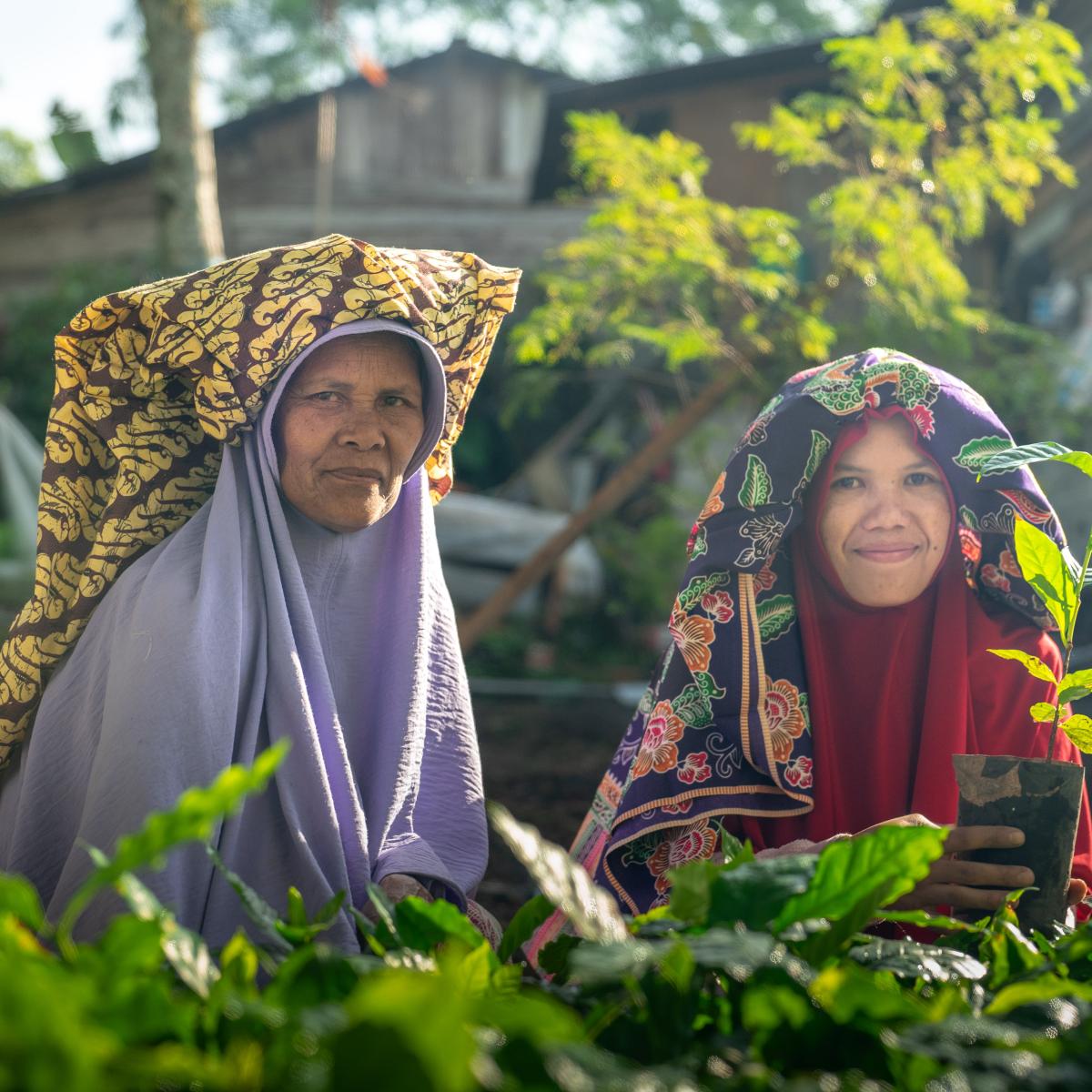 Dua petani perempuan berdiri di depan tanaman kopi mereka.