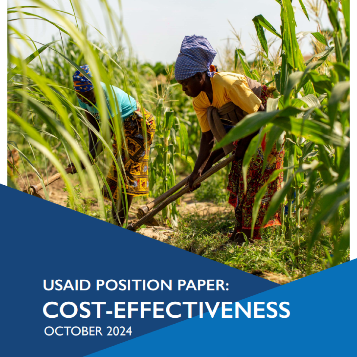 Cost Effectiveness Position Paper Cover Image