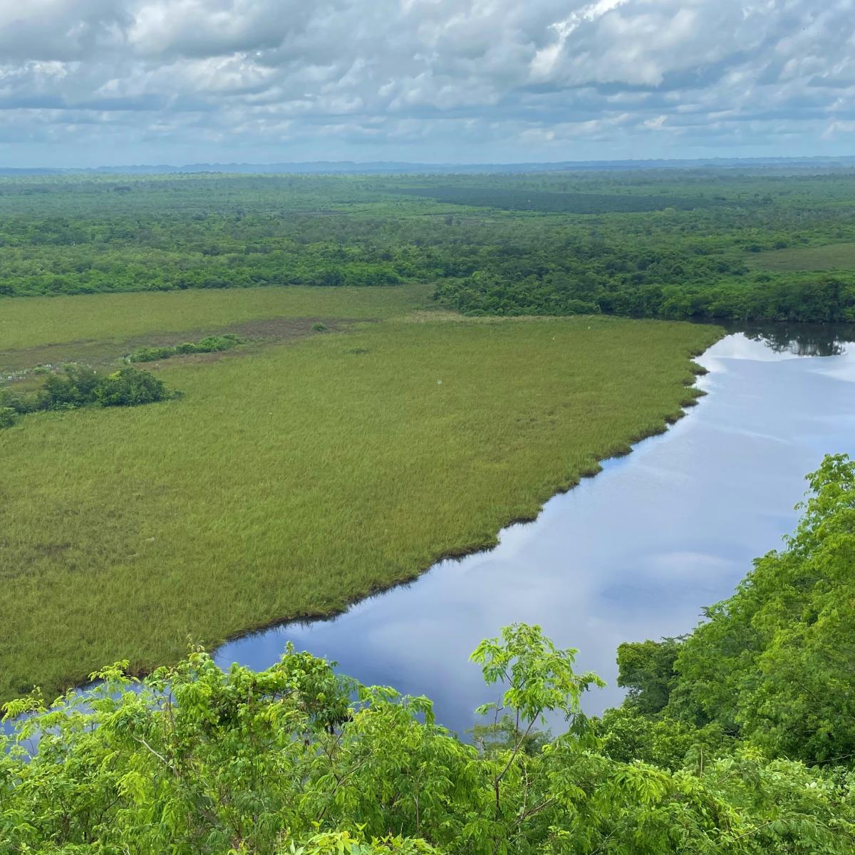 Maya Biosphere Guatemala